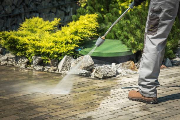Best Driveway Pressure Washing  in , WV